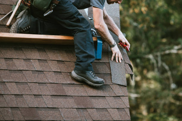 Best Metal Roofing Contractor  in Superior, WI